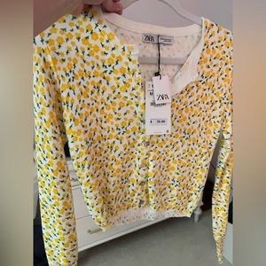 Zara Cardigan